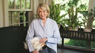 Martha By Martha Stewart: Brand Intro