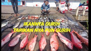 Dahsyatnya strek ikan salem di perairan Banten by Raja gentakkk 330 views 1 year ago 11 minutes, 50 seconds