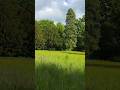 Im Schlosspark Krumke in Osterburg # osterburg #schlossparkkrumke