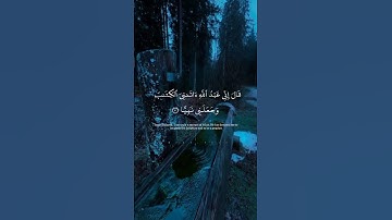 #سعود_الفايز #سوره_مريم #quran_alkarim