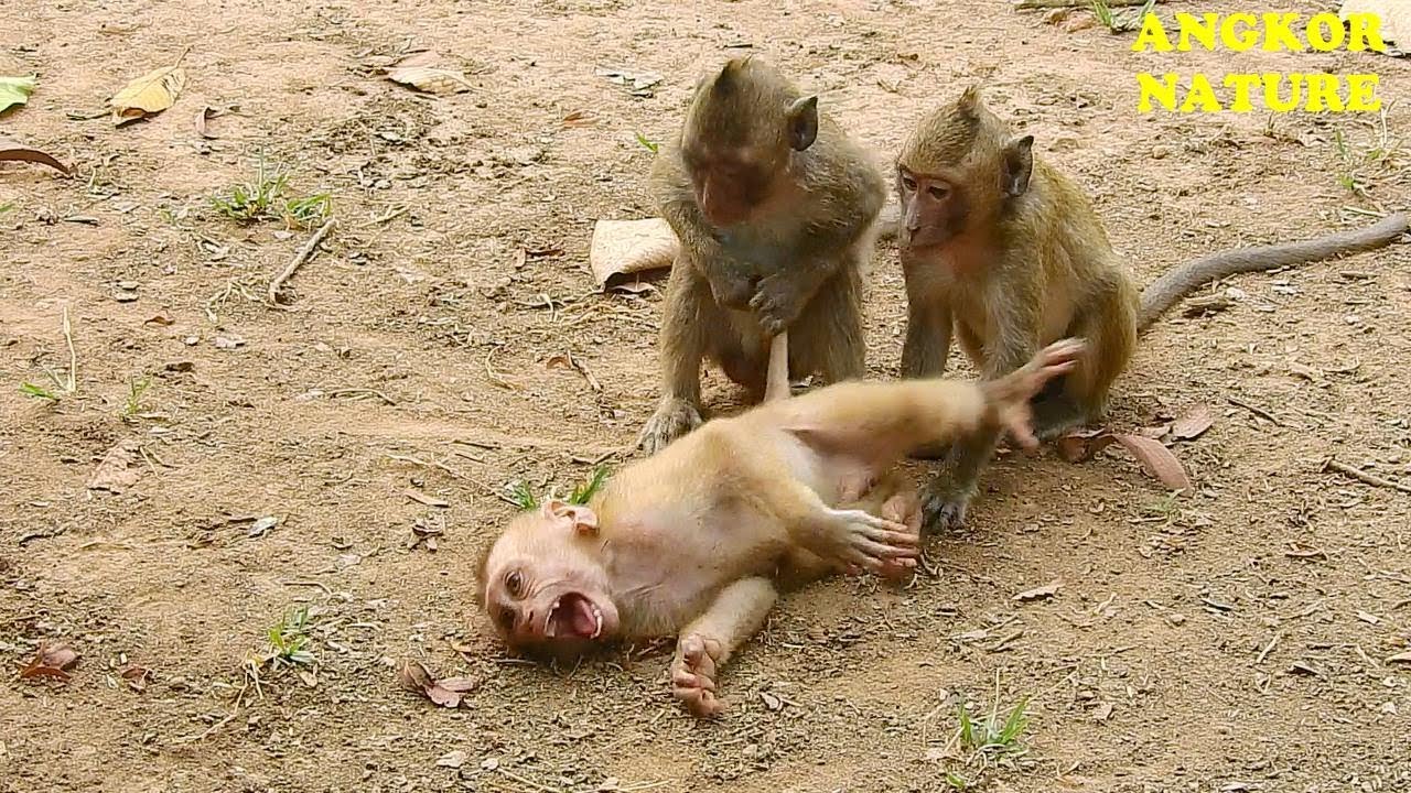 Axel scream loudly coz Jessie