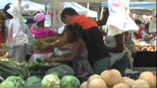 Urban Agriculture: East New York: Farmers Market
