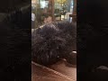 Италия  с подругой итальянкой Джованка, день рождения невестки