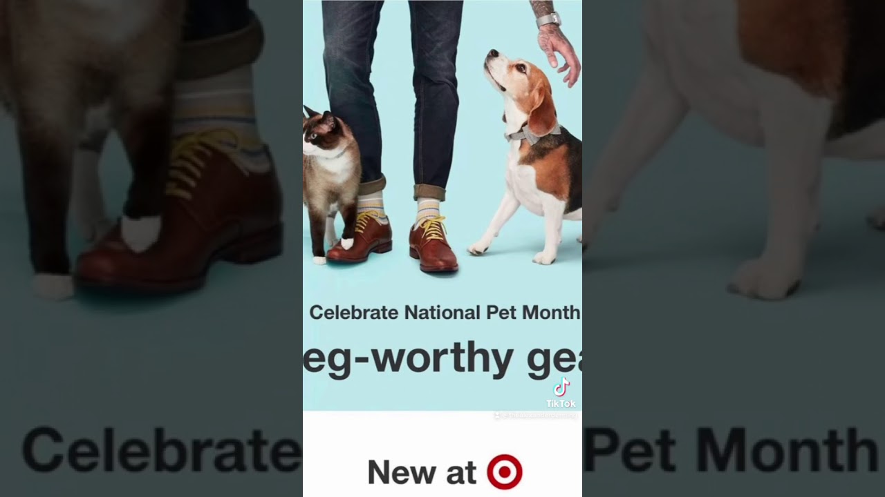 HOW DO YOU BECOME A MODEL?