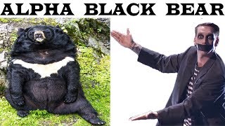 Alpha Black Bear location , Far cry 5