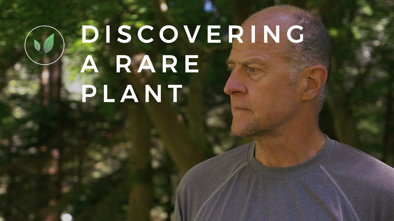The Feeling of Discovering Rare Plants