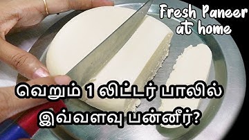 Homemade Paneer - How to make Paneer at home in tamil -  வீட்டிலேயே பன்னீர் செய்வது எப்படி?
