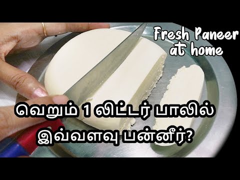 Homemade Paneer - How to make Paneer at home in tamil -  வீட்டிலேயே பன்னீர் செய்வது எப்படி?