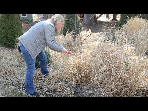 Video: Správně si ukliďte zahradu na jaře – kdy mám uklízet zahradu
