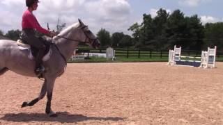 Finn Jumping August 2016