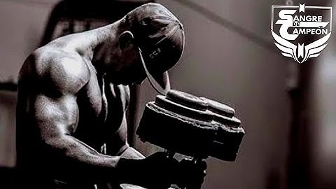 SANGRE DE CAMPEÓN - Motivación Gym
