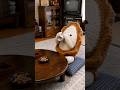 プシュ、という小さな幸せ