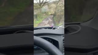 Have you ever drove 3.5t Luton van in the sticks