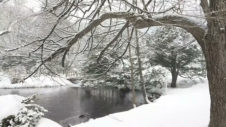 Snow Falling on Lake for 8 Hours No Music Relaxing, Sleeping, Meditation, Studying, Baby to Sleep