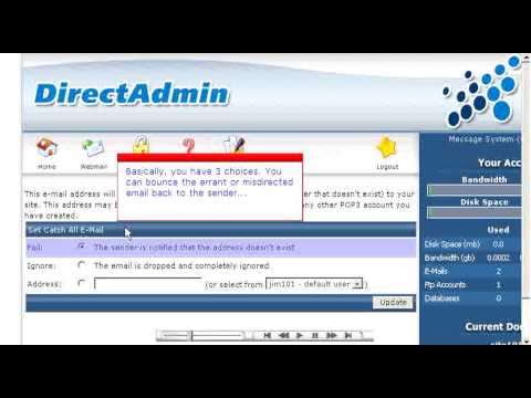 Creating a default (catchall) email account in Direct Admin