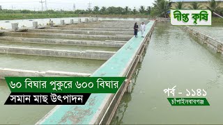 Deepto Krishi/দীপ্ত কৃষি - ৬০ বিঘার পুকুরে ৬০০ বিঘার সমান মাছ উৎপাদন | চাঁপাইনবাবগঞ্জ |  1141