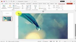 How to use stock images in PowerPoint free