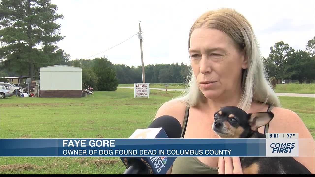Investigation underway after video of dog found dead in Columbus County ...