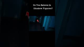 Do You Believe in Shadow Figures?