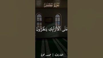 surat almutafifin lilqari muhamad hamza #قران_كريم #quran #لايك #تلاوة_خاشعة #راحة_نفسية #محمد_حمزة