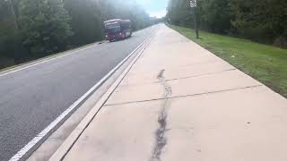 Lynx Disney Circulator Route 307 Bus near JW Marriott Bonet Creek