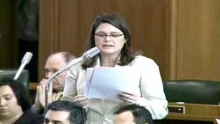 Rep. Gelser: Statewide E-Permitting