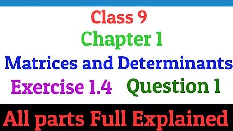 Class 9 | Chapter 1 | Matrices and Determinants | Exercise 1.4 | Question 1 | All parts