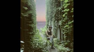 Niall Mutter – While You Wait