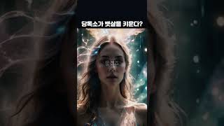 당독소가 뱃살을 키운다? 튀김 대신 샤브샤브가 좋은 이유 #건강식품 #지식 #건강레시피