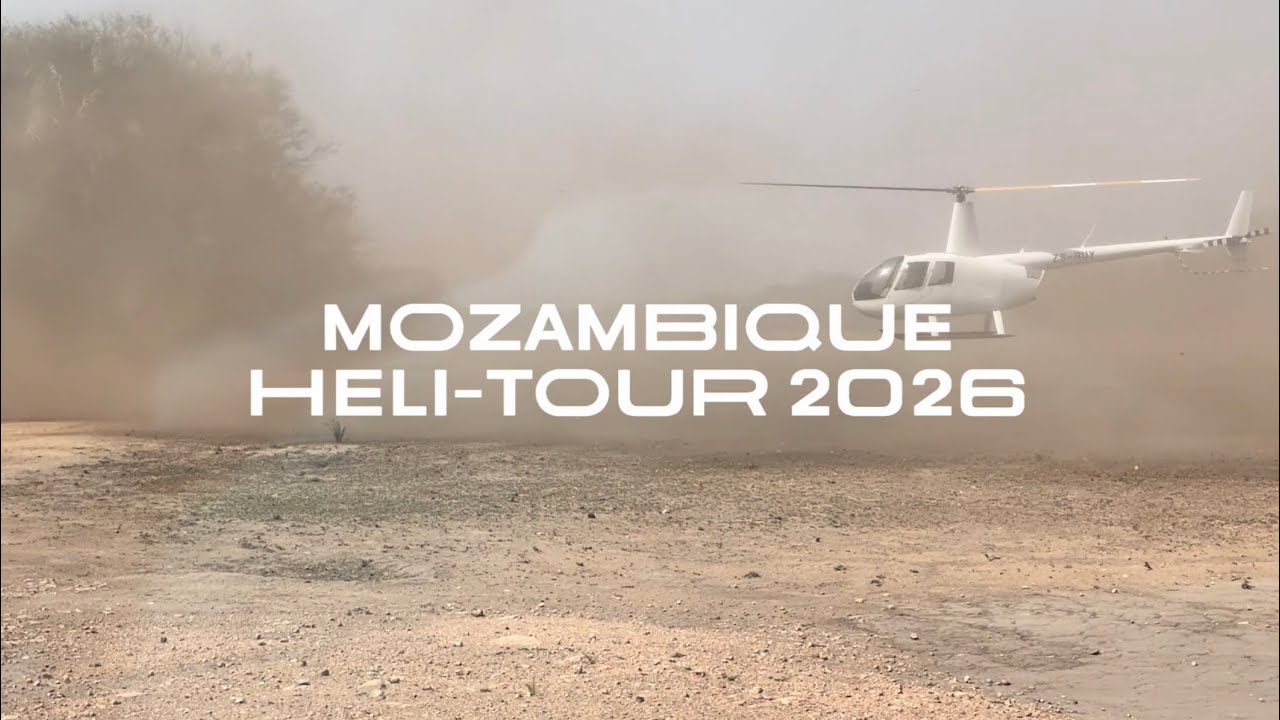 Mozambique Heli Tour 2026 (2nd day off) – Pangolins, Lions & Dinner Under the Stars