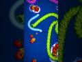 WormsZone 🐍 Giant Worms 🥶 #shorts #wormszone #gaming #snake #saampwalagame #12