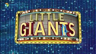 Trailer Little Giants