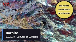 02.BA.10 - Bornite - #B19 - Minéraux - V2