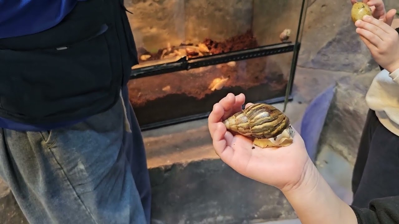 광주벅스랜드 방문기 #insects #곤충 #동물 #동물원 #체험 #고양이