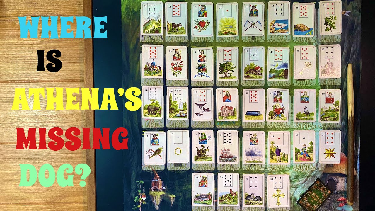 Interactive missing dog exercise using the Petit Lenormand and the