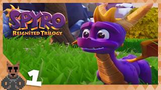 Spyro Reignited Trilogy (Spyro: Year of the Dragon) - Episode 1 | itsymmij Stream