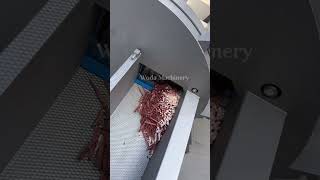 Heavy-duty frozen meat slicer, stable &amp; high efficiency for business use