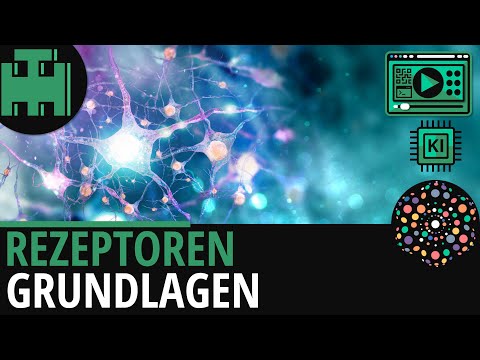 Rezeptoren Grundlagen│Biologie Lernvideo [Learning Level Up] [KI]