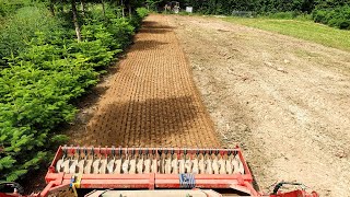 Forstmulchen - Fft Farm- Und Forstteam Gmbh - Mulcharbeiten Von Profis