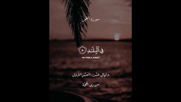 سورة الفجر. #القرآن_الكريم #القران #يارب #اكسبلور