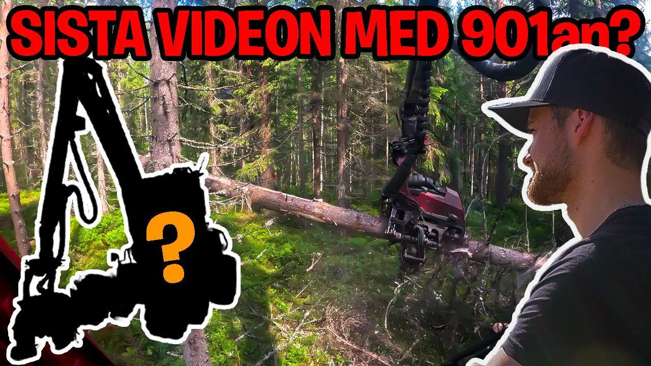 Gallring Och Framtidsplaner