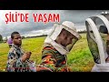 ŞİLİ'DEN EV ALMAK ve ŞİLİ'DE YAŞAM - Güney Şili'de Puerto Montt