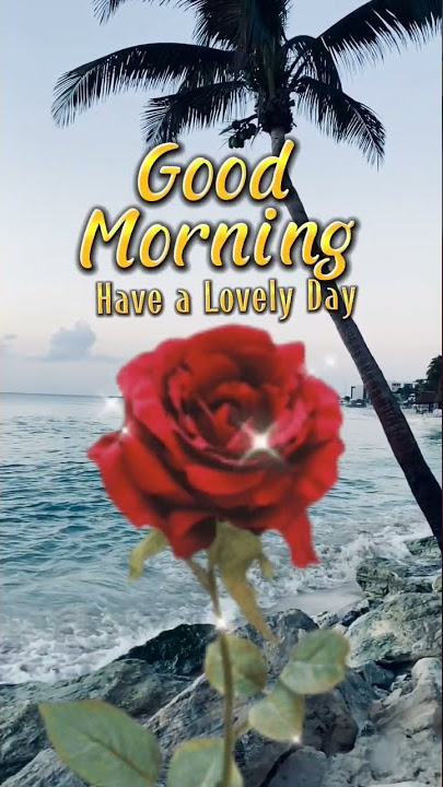 Good Morning | Ucapan Selamat Pagi | Story wa | Status wa #shorts