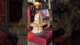 #Shiv #Blessings #Happiness #Save #Good #Happy #Life #Power #God #Om #Love #Song #Nandi #Ling #Puja