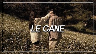 MUTİ - LE CANE feat. UZİ x CRİTİCAL x HEİJAN ( Sözleri/Lyrics ) Resimi