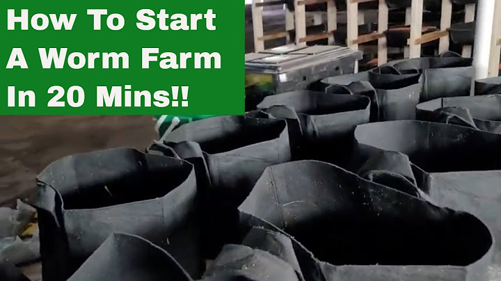 How To Start A Worm Farming Business In Less Than 20 Minutes!