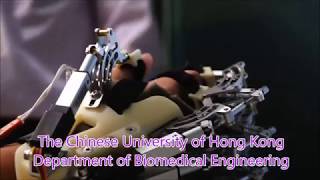 Department of Biomedical Engineering, CUHK
