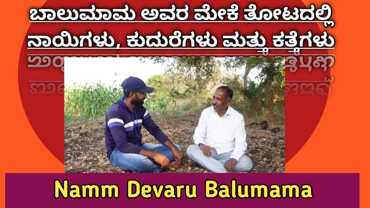 Pawad Purusha | ಬಾಲುಮಾಮ ಅವರ ಮೇಕೆ ತೋಟದಲ್ಲಿ ನಾಯಿಗಳು, ಕುದುರೆಗಳು ಮತ್ತು ಕತ್ತೆಗಳು| Namm Devaru Balumama