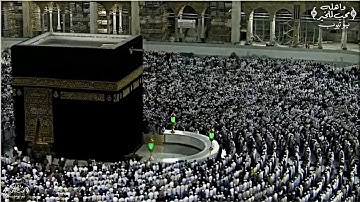( كُلُّ شَيْءٍ هَالِكٌ إِلا وَجْهَهُ ) تلاوة خاشعة لأواخر سورة القصص / صلاة الفجر 22 جمادى الآخرة