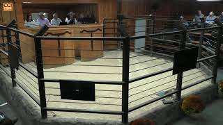 Thomas Angus Ranch Annual Production Sale, Baker City, OR Oct 2024